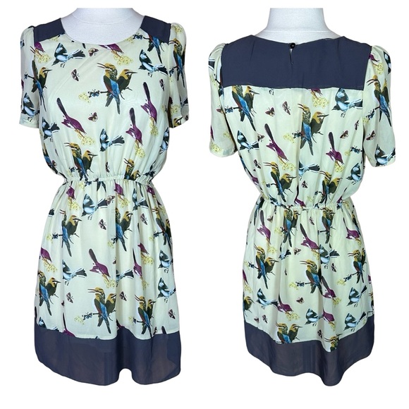 Angel Eye Whimsical Bird Colorblock Scoop Neck Short Sleeve Lined Mini Dress M - Picture 1 of 8